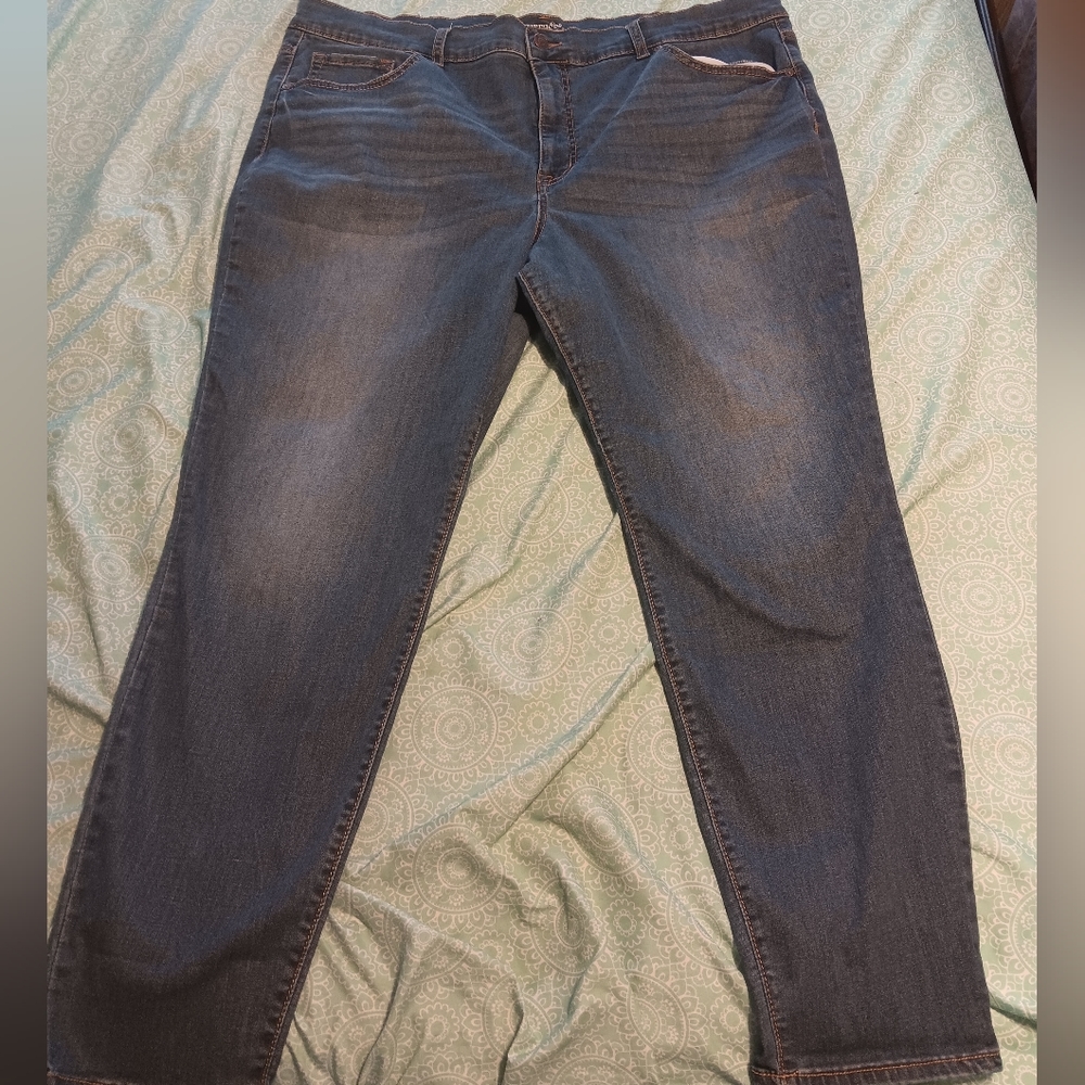 Terra sky jeans 22W